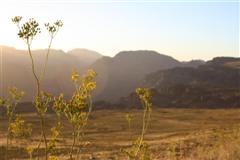 Cedarberg